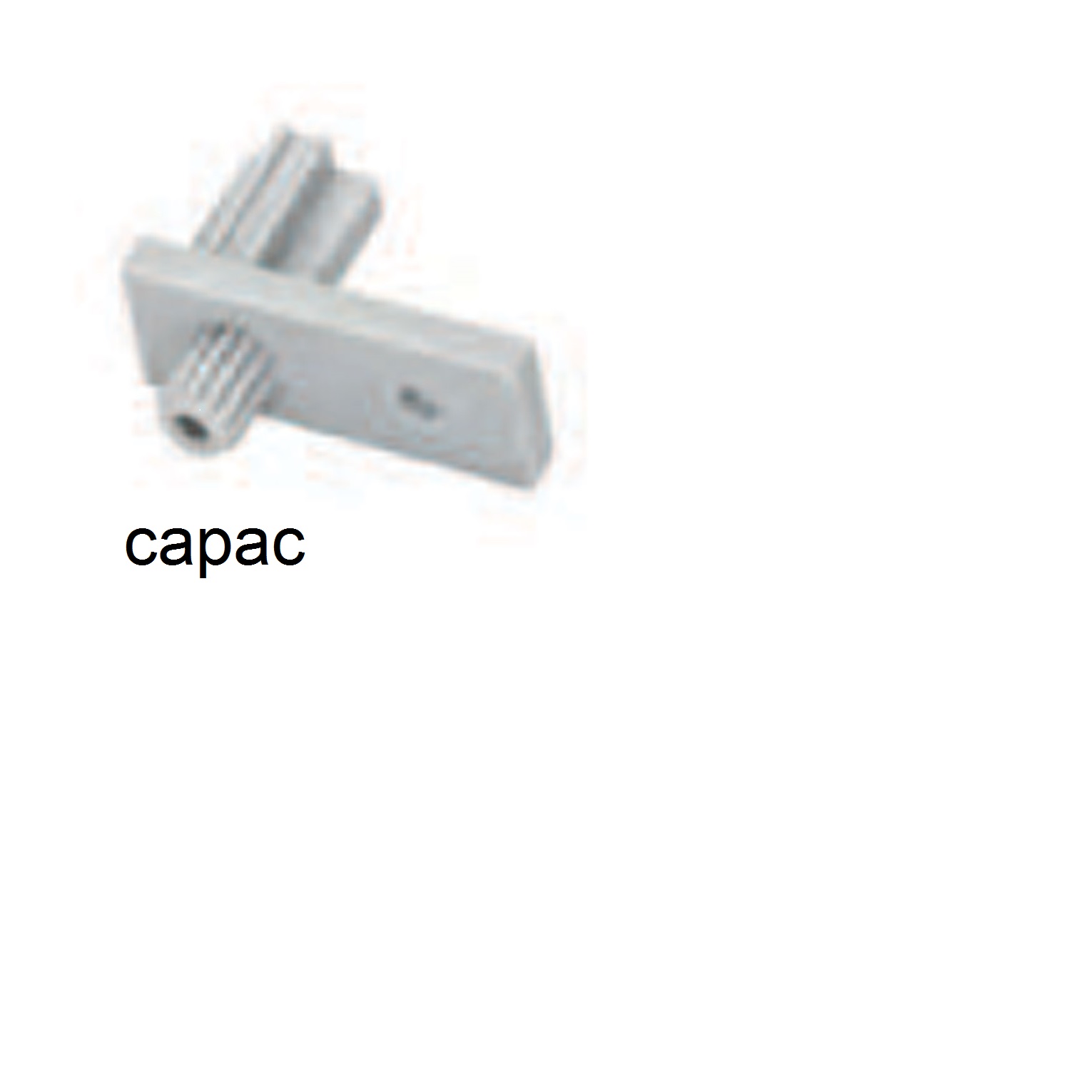 capac-jpg.jpg